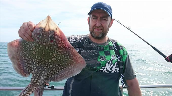 6 lb 6 oz Thornback Ray by Shane from Kent