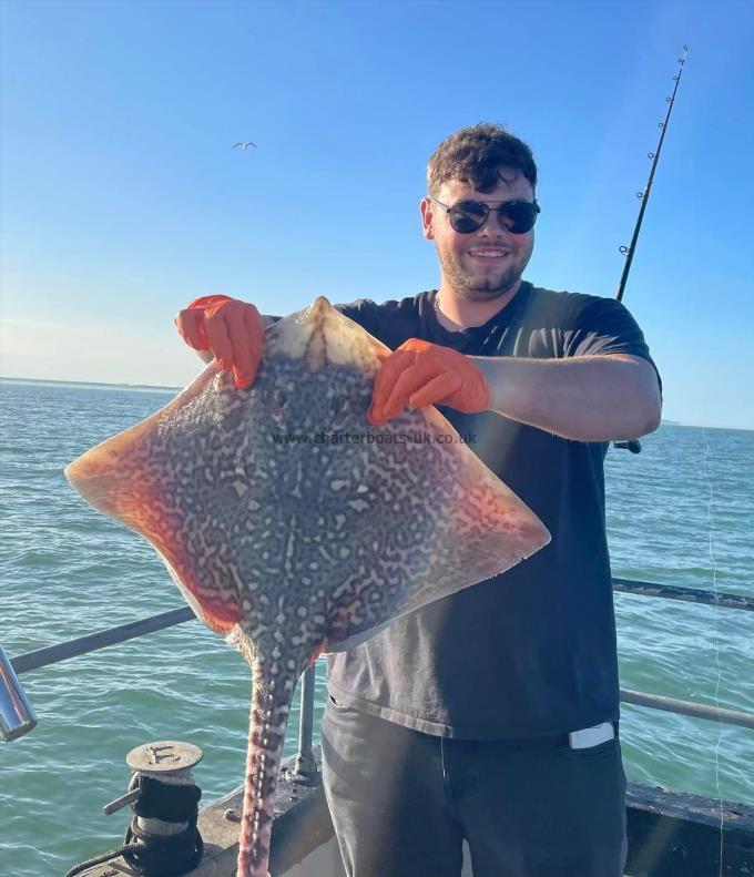 9 lb Thornback Ray by Unknown