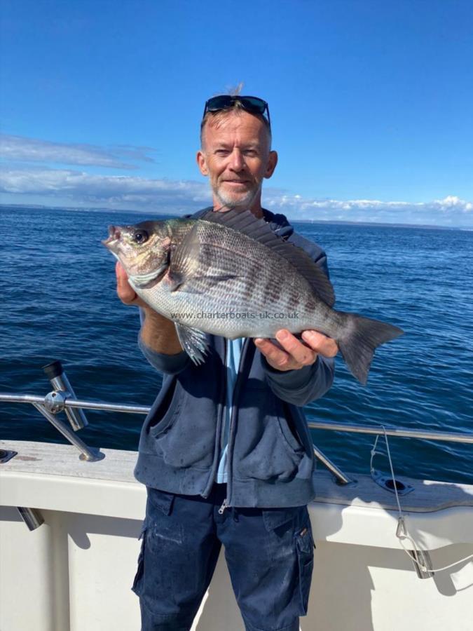 3 lb 4 oz Black Sea Bream by Unknown