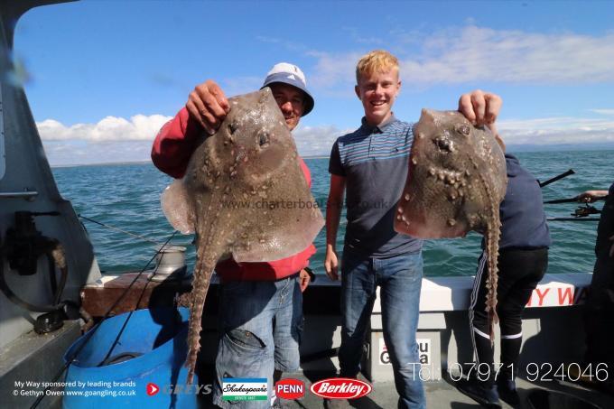 7 lb Thornback Ray by Ceirion & Aron