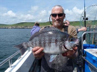 3 lb 8 oz Black Sea Bream by Dave Griffin