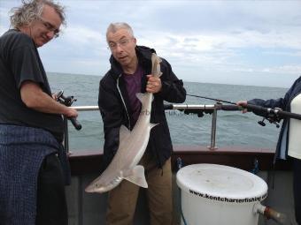 8 lb 8 oz Starry Smooth-hound by Kevin S