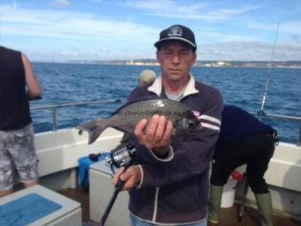 2 lb Black Sea Bream by Unknown