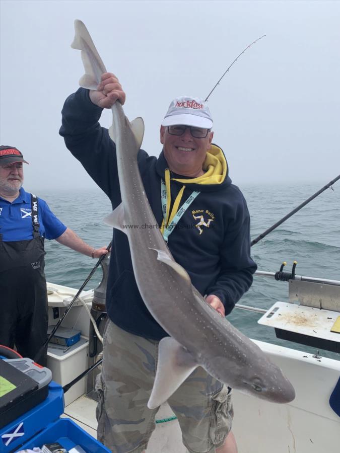 16 lb 8 oz Starry Smooth-hound by Scott Rennie