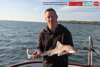 5 lb Starry Smooth-hound by Azz