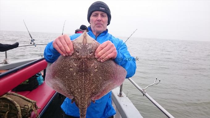 6 lb 6 oz Thornback Ray by Colin from London