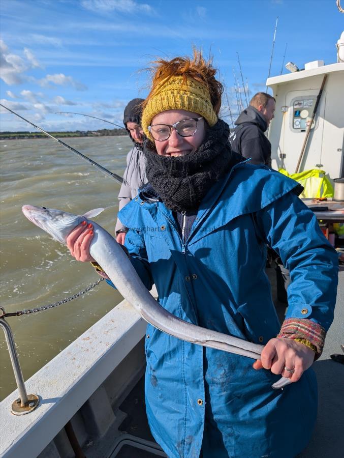 4 lb Conger Eel by Jade