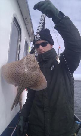 2 lb Spotted Ray by Unknown