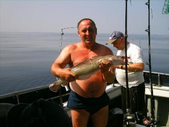 8 lb 8 oz Ling (Common) by Phil from Gloucester