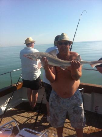 10 lb 1 oz Smooth-hound (Common) by Unknown