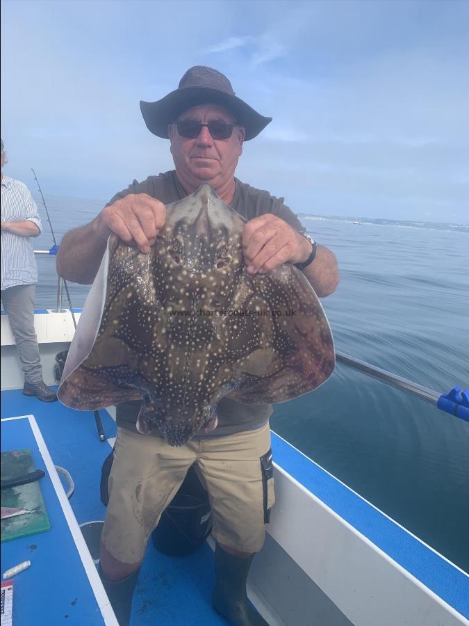 12 lb Undulate Ray by Unknown