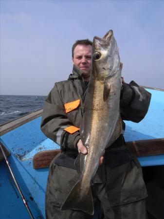 11 lb 8 oz Pollock by Unknown