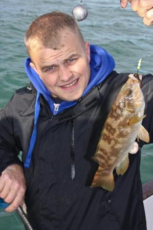 2 lb Ballan Wrasse by Mark