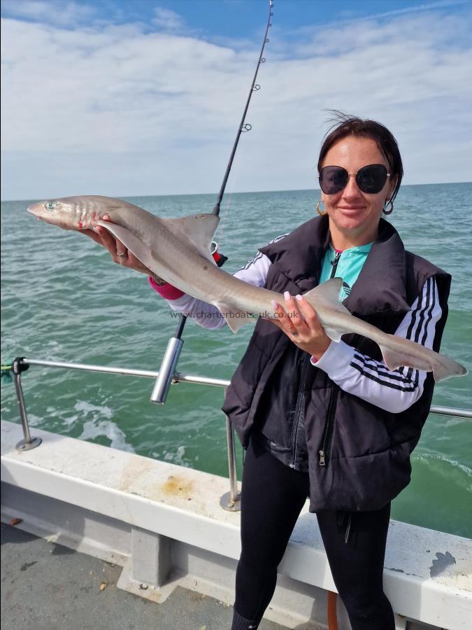 3 lb Smooth-hound by Beth