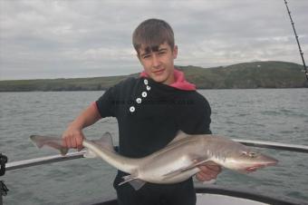 12 lb Starry Smooth-hound by Ryan