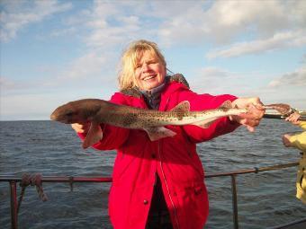 4 lb Lesser Spotted Dogfish by Unknown