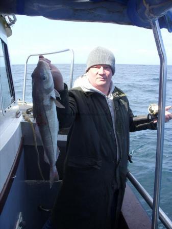 3 lb Haddock by Adrian