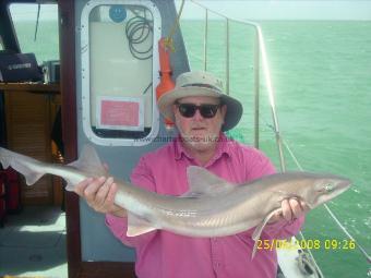 12 lb Smooth-hound by robin
