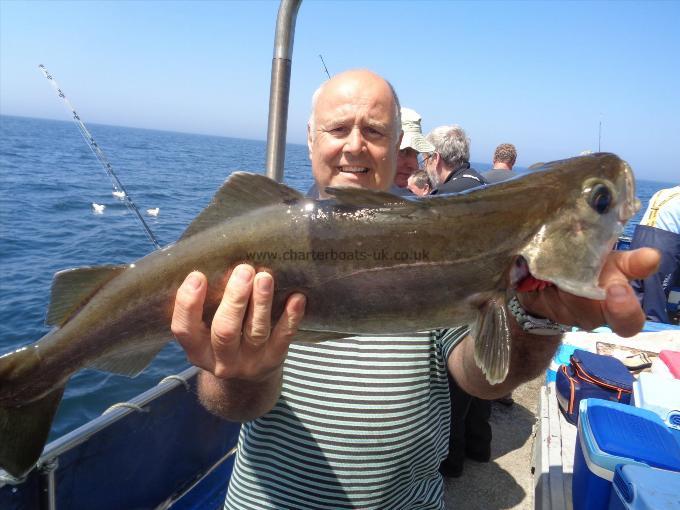 8 lb Pollock by one of many caught by gary