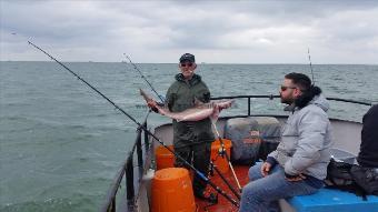 17 lb 5 oz Starry Smooth-hound by derek