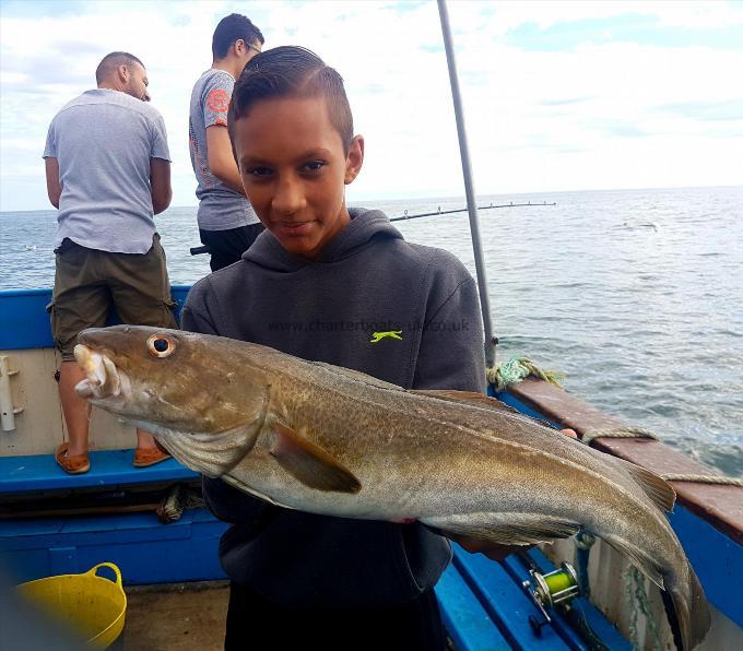 7 lb Cod by Unknown