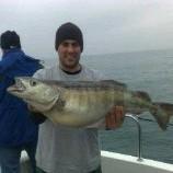 16 lb Pollock by sea leopard