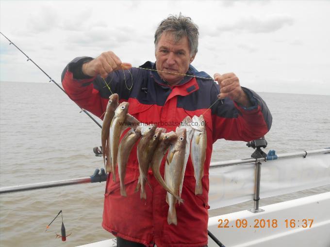 1 lb Whiting by Bernard