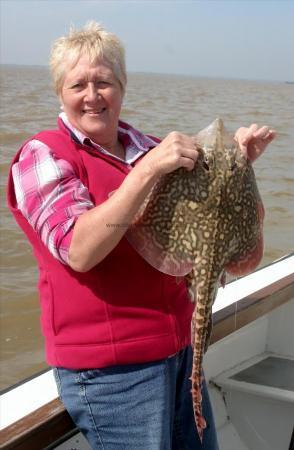 6 lb 2 oz Thornback Ray by Scott Belbin