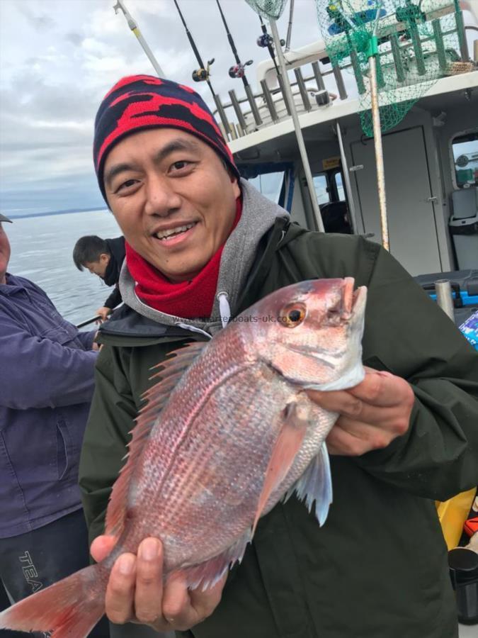 4 lb Couch's Sea Bream by Unknown