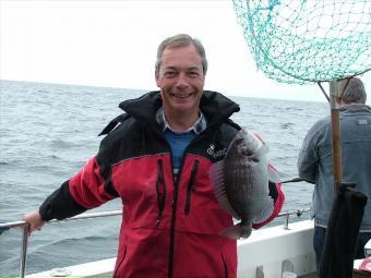 3 lb 8 oz Black Sea Bream by Nigel