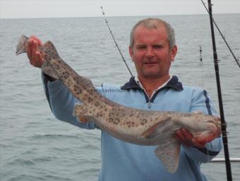 8 lb Bull Huss by Andy Truelove