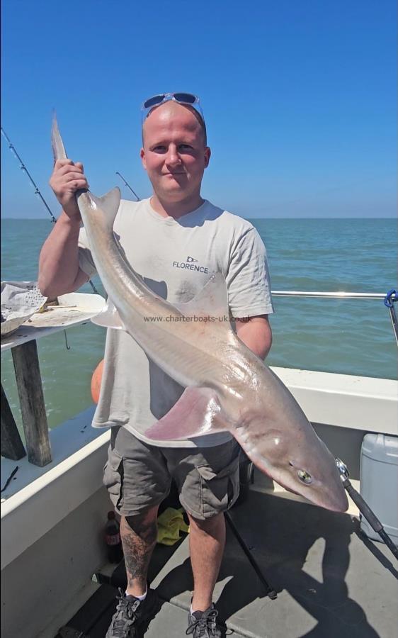 12 lb 10 oz Smooth-hound by Paul