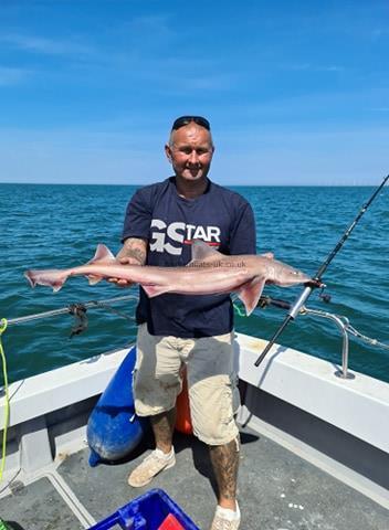 8 lb Smooth-hound (Common) by Jason Parrott