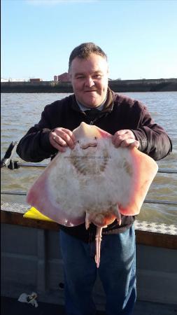 11 lb 4 oz Thornback Ray by Jeff