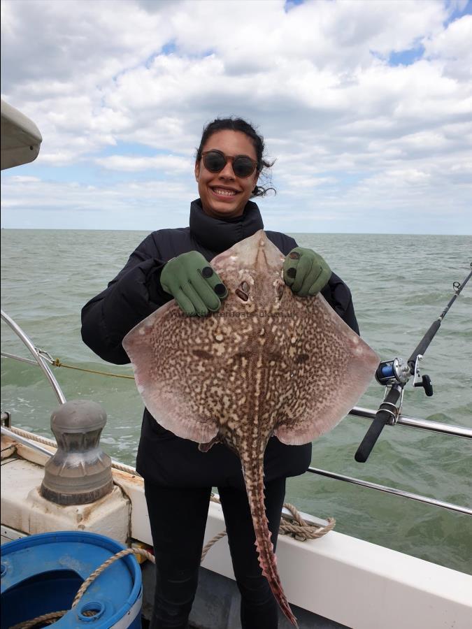 9 lb 8 oz Thornback Ray by Bob Marshall