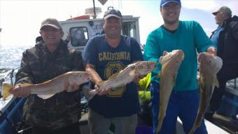 8 lb Cod by 3 of the lads from stockport today 2 aug 2014