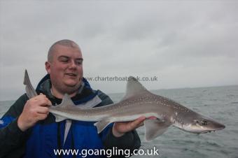 4 lb Starry Smooth-hound by Dave
