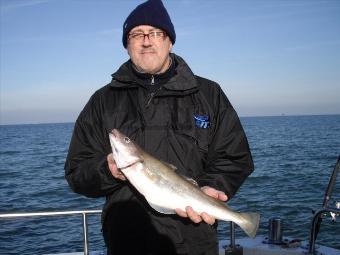 3 lb 6 oz Whiting by Paul Kellet