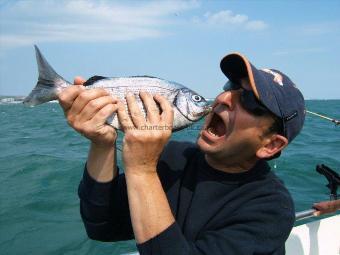 2 lb Black Sea Bream by Unknown