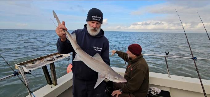 6 lb 12 oz Smooth-hound by Phillippe
