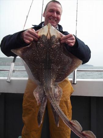 11 lb 8 oz Undulate Ray by Unknown