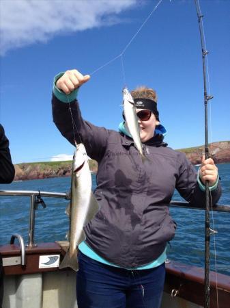 2 lb 8 oz Coalfish (Coley/Saithe) by Unknown