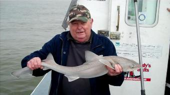 9 lb 1 oz Smooth-hound by Sir M.
