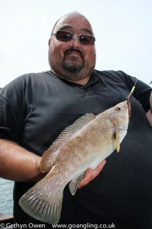 2 lb Ballan Wrasse by Carl