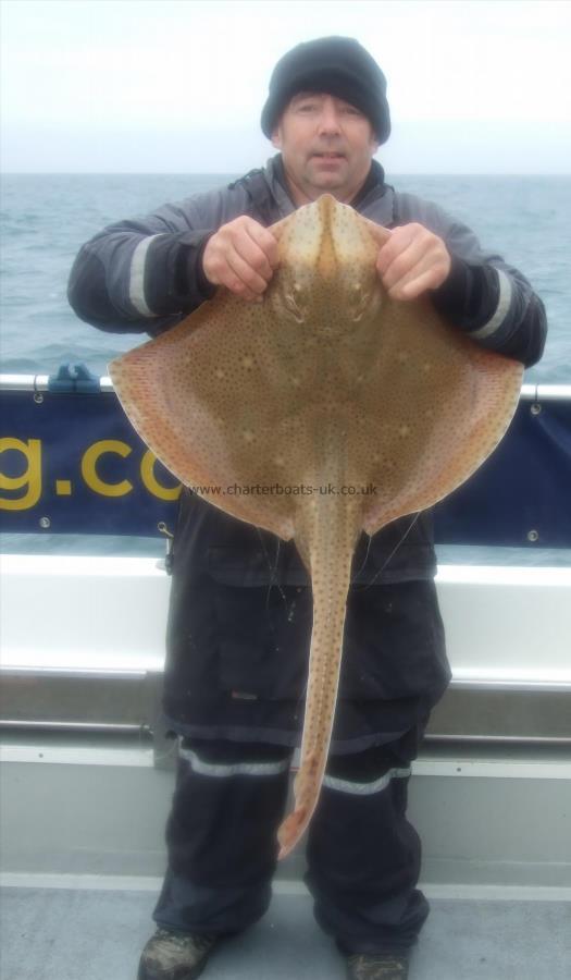 13 lb Blonde Ray by Tim Goble