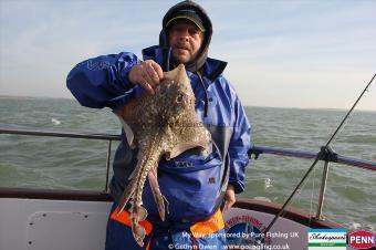 6 lb Thornback Ray by Brooksy