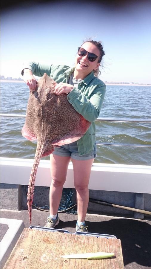 14 lb 8 oz Thornback Ray by Bob Marshall