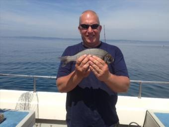 1 lb 9 oz Black Sea Bream by Unknown