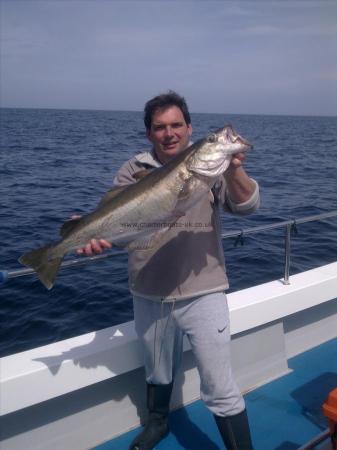 16 lb 2 oz Pollock by Mark Weston