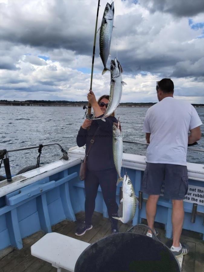 1 lb Mackerel by Unknown